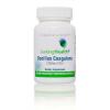 Bacillus Coagulans - 60 acid-resistant vcaps