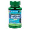 Holland & Barrett - Maximum Strength Ginkgo Biloba 100 caps