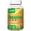 Jarrow Formulas - Theanine Gummies 60 gummies