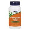 NOW Foods - Andrographis Extract