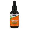 NOW Foods - Echinacea Extract 59 ml.