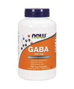 NOW Foods - GABA with Vitamin B6