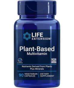 Plant-Based Multivitamin - 90 vcaps