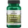 Swanson - Pine Bark Extract 100 caps