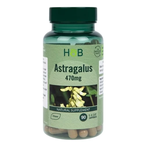 Astragalus