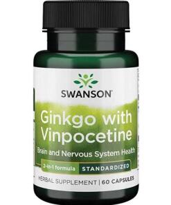 Ginkgo with Vinpocetine Standardized - 60 caps