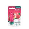 Himalaya Lip Balm (4