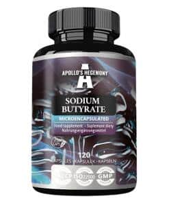 Sodium Butyrate Microencapsulated - 120 caps